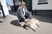 Пёс у монастырских ворот стал местной достопримечательностью.