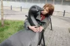 Но гуси в городе везде - на улицах, в фотозонах, в ресторанных меню.