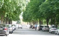 Центральная улица города Гулькевичи. 