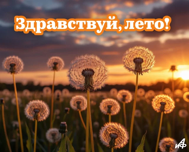 красивая открытка с началом лета