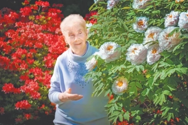 Марианна Успенская занимается пионами уже около 60 лет, выведя около 40 новых сортов.