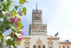 Реставрация затронет Главный корпус ЦМИ, являющийся объектом культурного наследия регионального значения. Уже отреставрированы квадриги и скульптуры коней на крыше, ведется работа над фасадами и интерьерами.