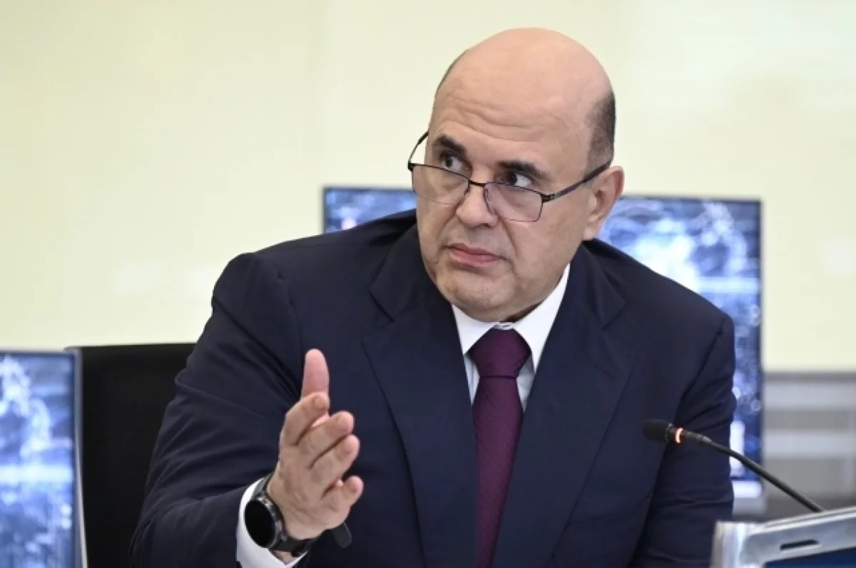 Мишустин: Россия не ищет замену западным продуктам, а внедряет собственные