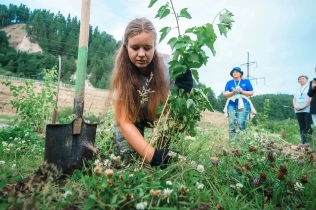 В рамках акции в городах и поселках региона высадят деревья и кустарники. 
