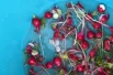 Первый урожай сезона — редиска-богатырка! 