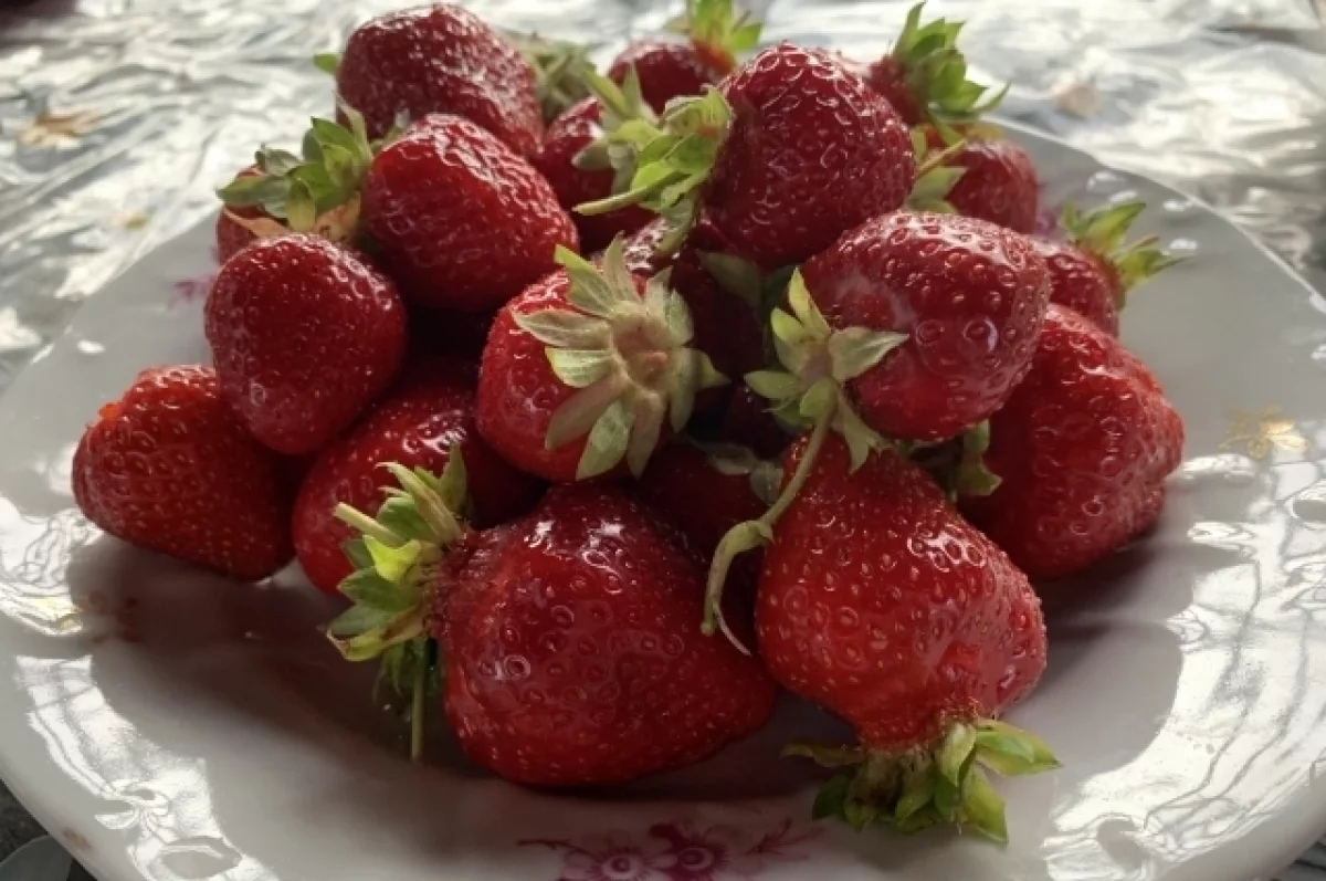 Садовод Туманов рассказал, как выбрать самую вкусную клубнику