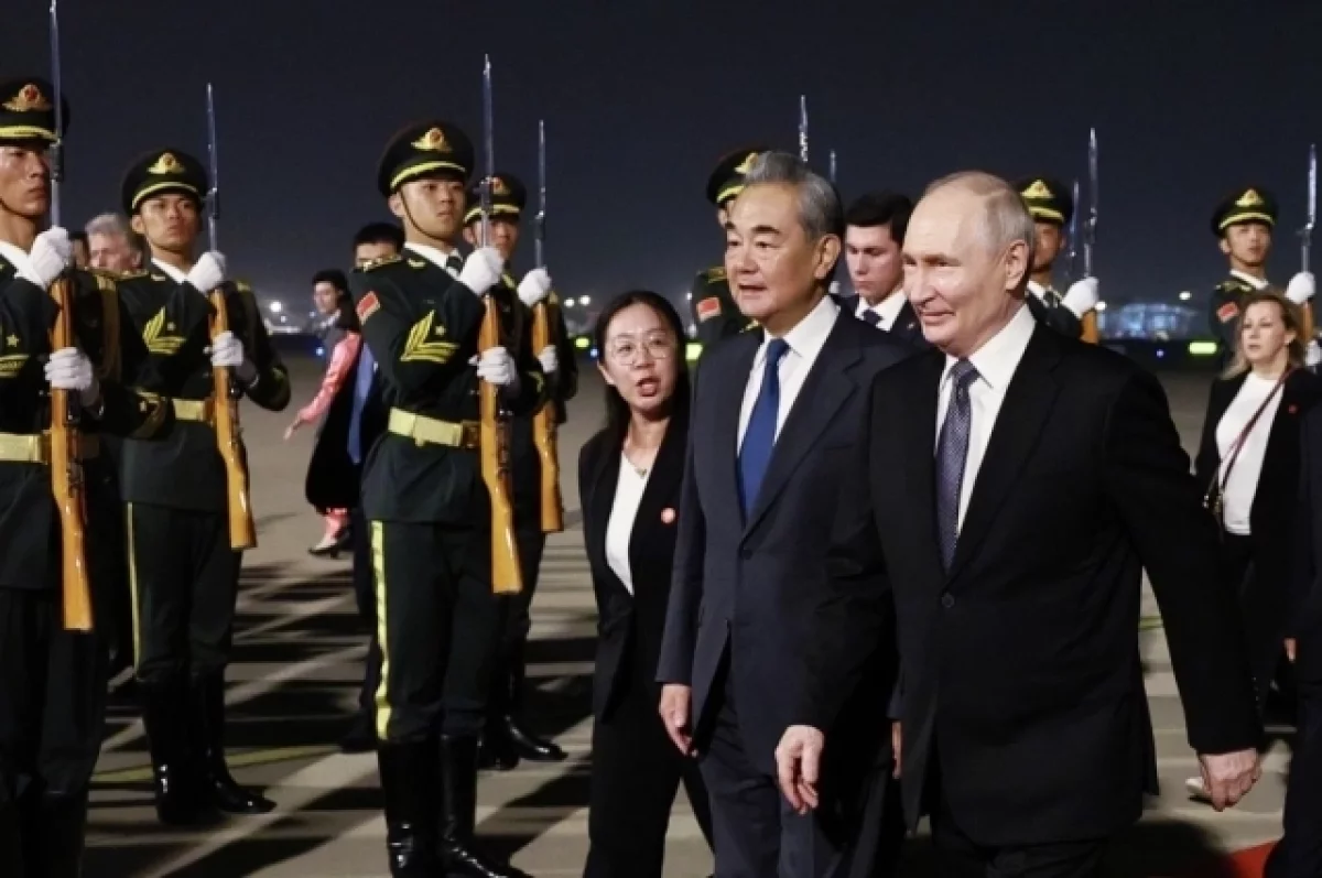 Большой друг: китайцы встретили Путина с восторгом