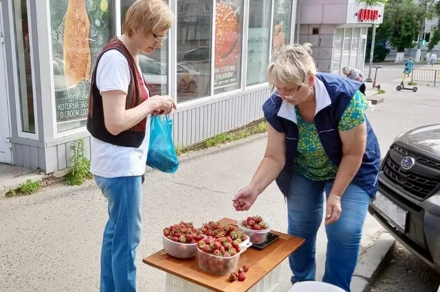 Первый урожай псковской клубники начнут собирать уже через несколько недель