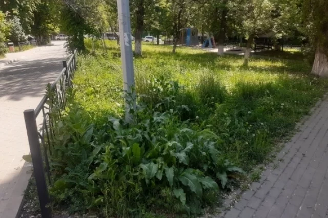 Типичный двор в центре Белгорода  в этот май.