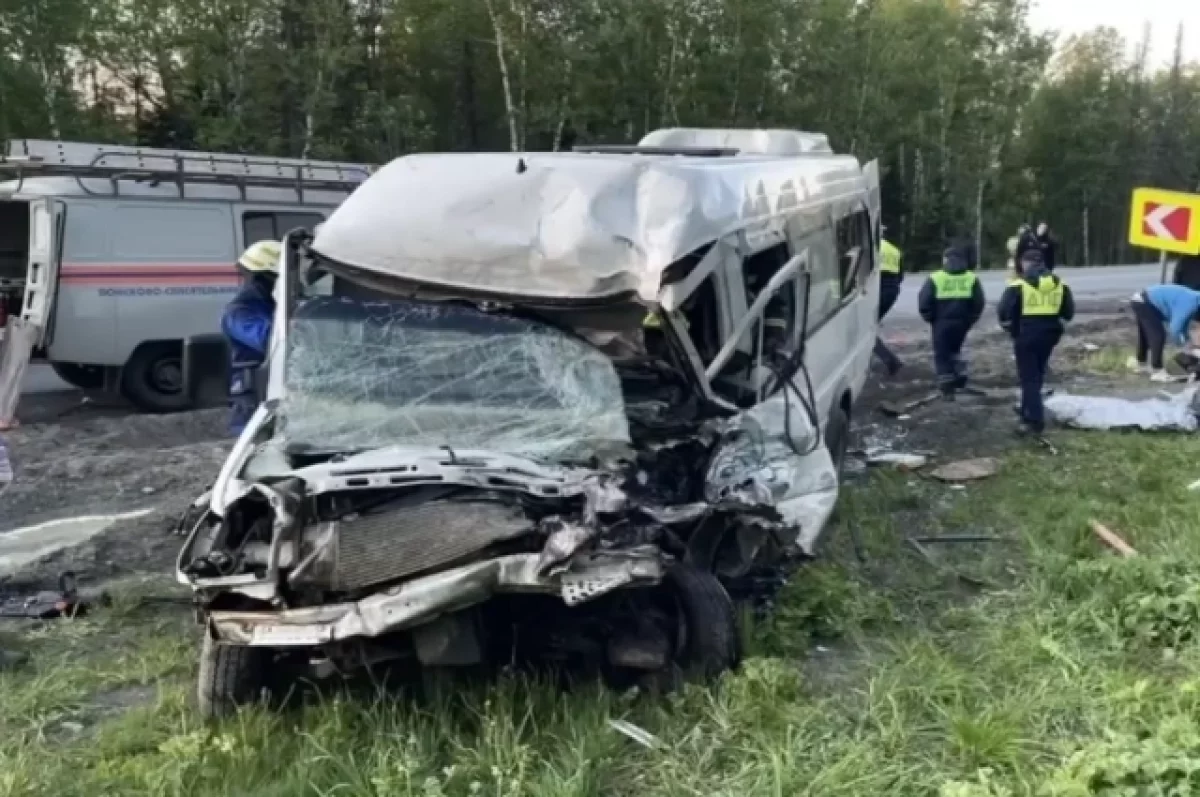 Число пострадавших в ДТП с микроавтобусом под Челябинском выросло до восьми