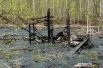Территорию арендует компания «Экохимресурс».