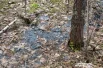 Мазут просачивается сквозь почву.