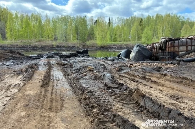 К некоторым ямам ведут автомобильные следы.