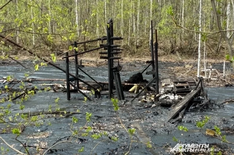 Территорию арендует компания «Экохимресурс».
