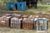Никого из сотрудников на территории базы нет.