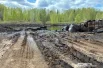 К некоторым ямам ведут автомобильные следы.