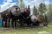 В 2006 году на нефтебазе произошёл серьёзный пожар.