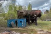 Во время пожара на нефтебазе пострадали четыре человека.