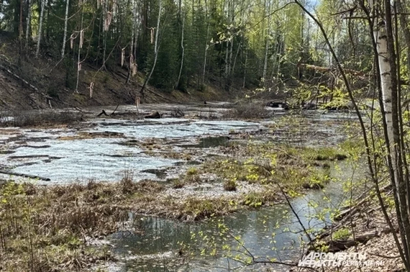Часть ям затоплена водой, но на дне остаётся мазут.
