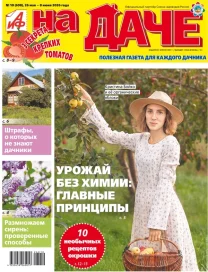 3 секрета крепких томатов