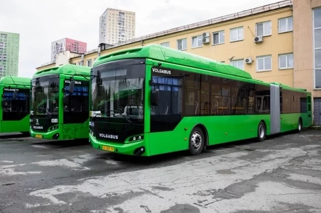Новые автобусы будут курсировать по маршрутам №№ 50, 64 и 67.
