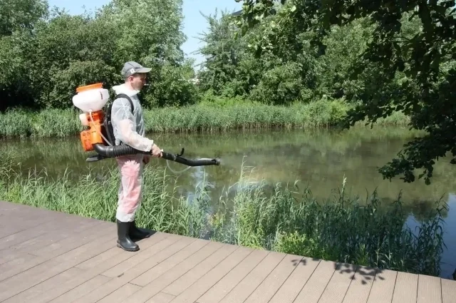 Может быть, обработка водоемов и прибрежных территорий немного уменьшит комариную агрессию? 