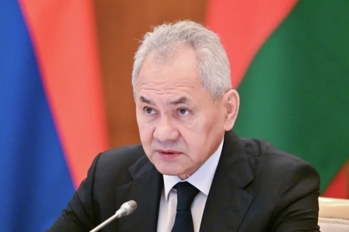 Шойгу выразил сожаление из-за поиска Арменией защиты у «источника угрозы»