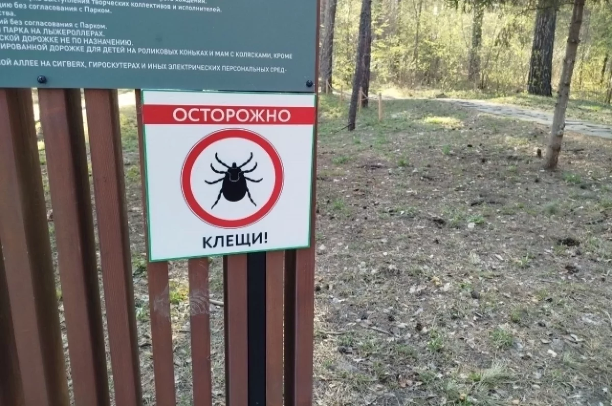 Новые вирусы нашли у клещей в Северо-Западном федеральном округе