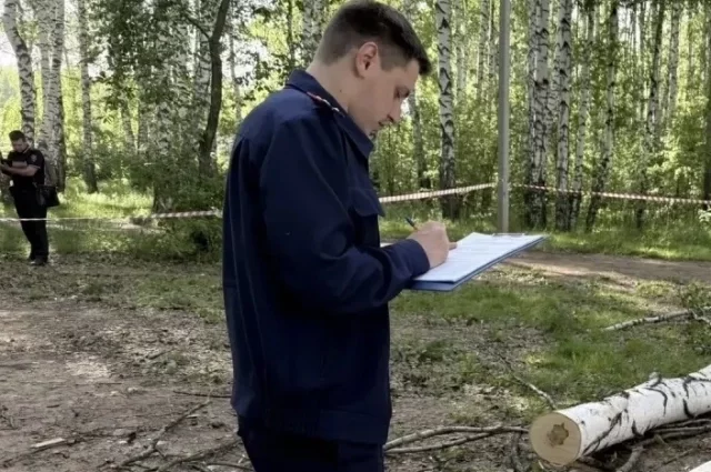 Специалисты осмотрели место происшествия.