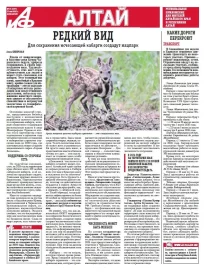 АиФ-Алтай