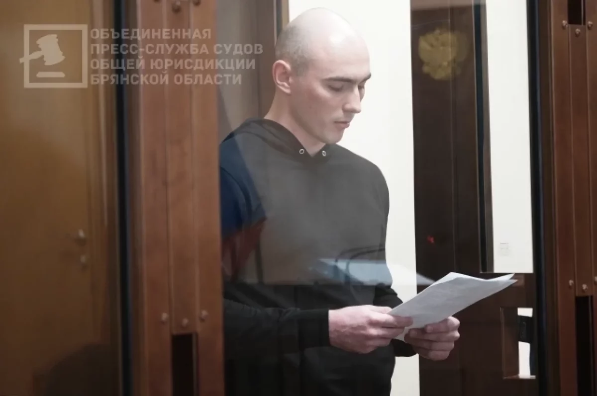 Брянский областной суд дал 9,5 лет краснодарцу за покушение на госизмену