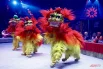 Хэбэйская акробатическая группа из Китая представила номер «Танец львов». За фантастическими существами на манеже скрывается безупречная слаженность дуэтов артистов.