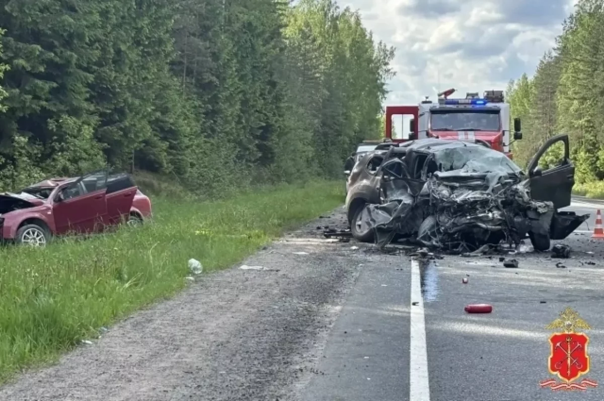 В Ленобласти в ДТП погибли четыре человека, включая двух детей