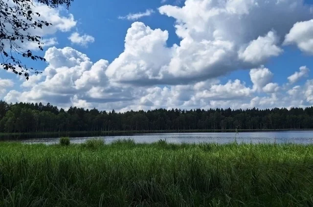 Озеро Моховое под Пензой, где уничтожали химоружие.