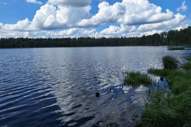 Озеро Моховое, где уничтожалось химоружие.