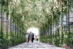 Старый Арбат в рамках проекта «Лето в Москве» превратился в городской сад. Плотные арки из цветущих вишневых деревьев сформировали живую зеленую галерею, где игра света и тени на мостовой создает идеальный фон для прогулок.