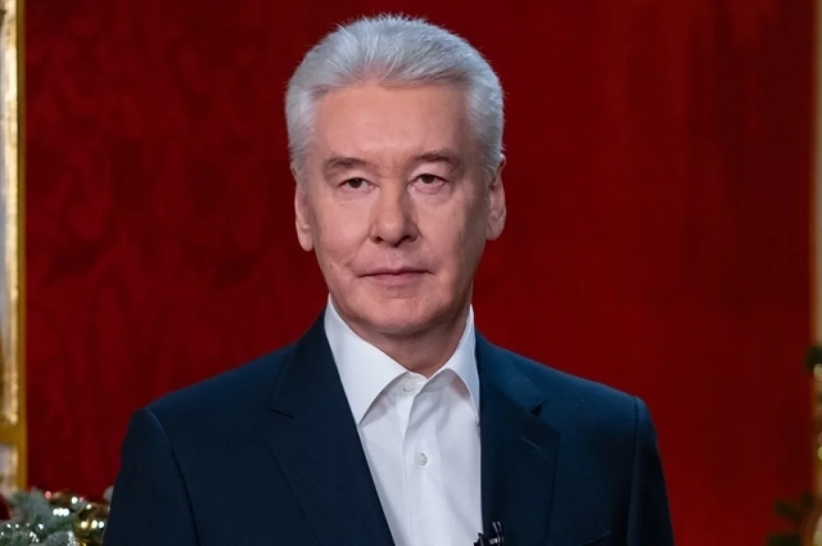 Собянин: будем продвигать Стандарт общественного капитала с ВЭБ.РФ и АСИ