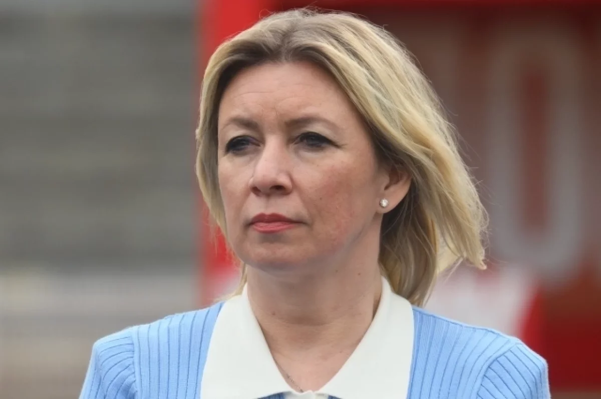 Захарова отреагировала на признание Румынией падения украинского дрона