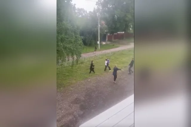 Выяснилось, что эти же животные уже нападали на взрослых, а их хозяйки, по словам очевидцев, даже не пытались остановить псов.