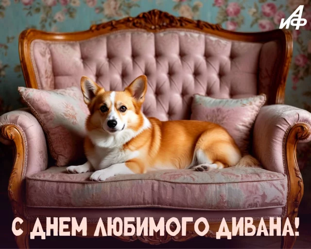 день любимого дивана открытка