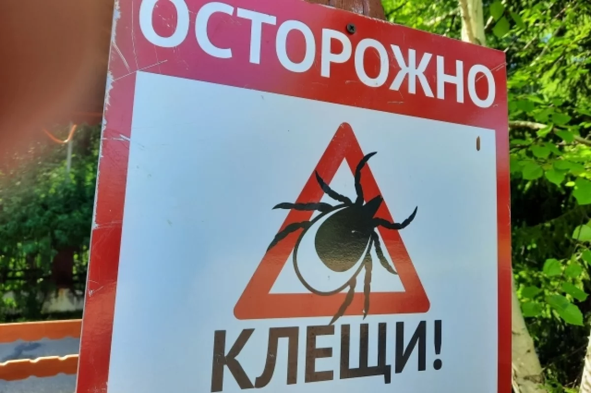 12 случаев клещевых инфекций зарегистрировали в Карелии