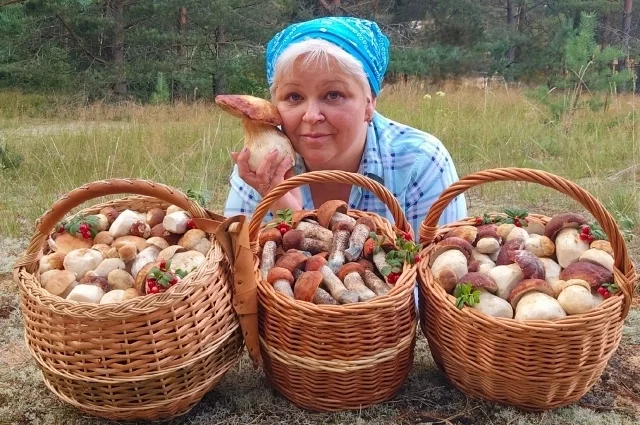 Однажды Анна уехала из леса на машине полностью заполненной грибами. С сыном попали на начало мощного слоя.