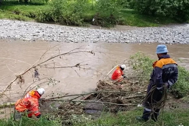 Спасатели обследуют дно реки, ныряя в ледяную воду.