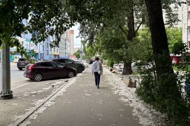 Пух лежит на улицах сугробами.