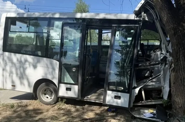 Автобус съехал с дороги и на скорости врезался в дерево.
