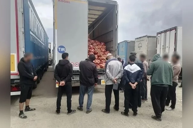 За 10 дней выявлено 249 нарушений миграционного законодательства. 