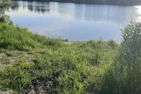 В этом водоеме спасатели нашли тела пропавших детей.