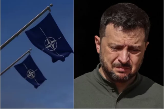 https://aif-s3.aif.ru/images/046/709/f2a1123e6511a749dae15e4957127f90.webp