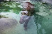 Даже в жару у животных есть свои маленькие радости: прохладный бассейн, тенистый уголок или вкусный обед.