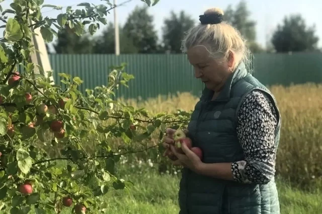 Много лет Тамара Туркина проработала стоматологом, а выйдя на пенсию нашла себя в сельском хозяйстве
